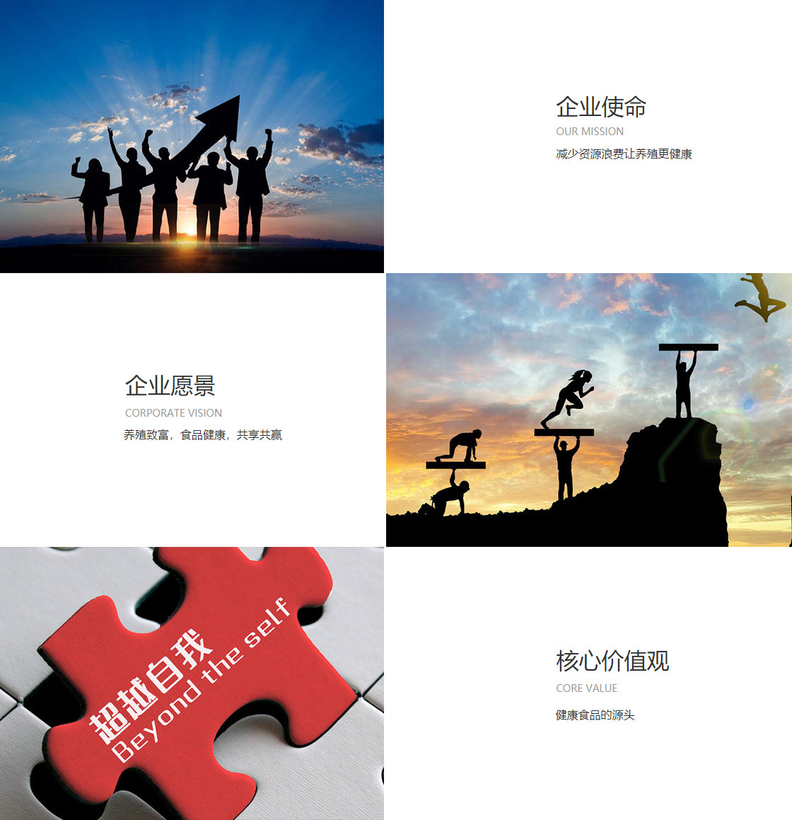 华体会官方版网站登录入口(图1)